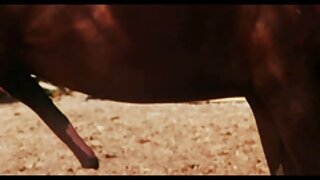 Молода дівчина з пружними цицьками порно мамі кохається з хлопцем.